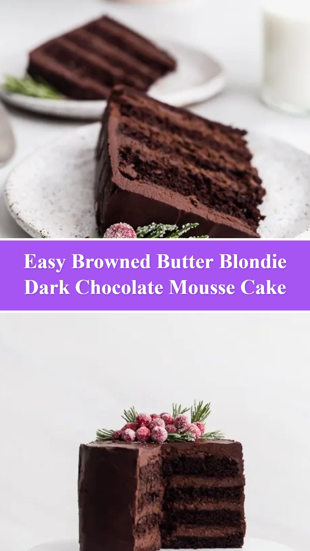 Dark Chocolate Mousse Cake - Browned Butter Blondie
