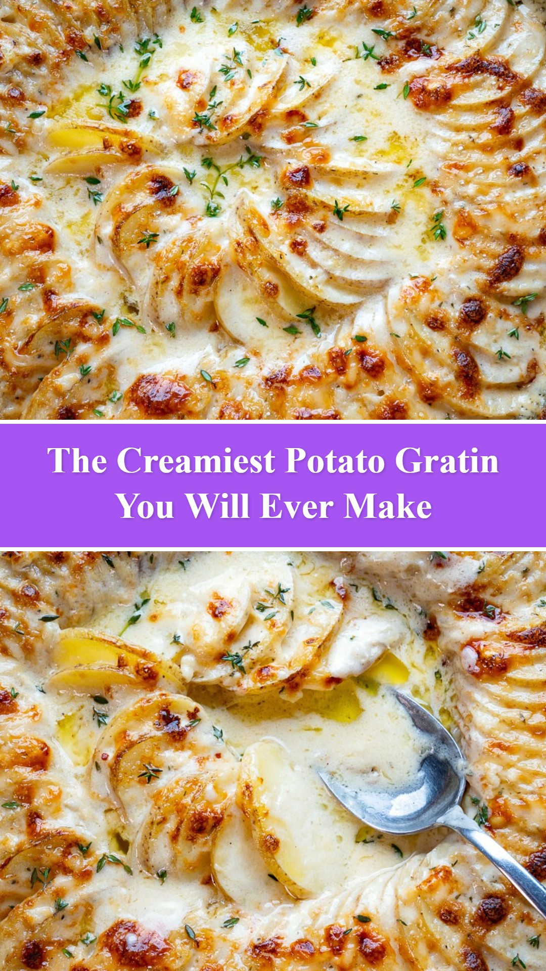 Potato Gratin